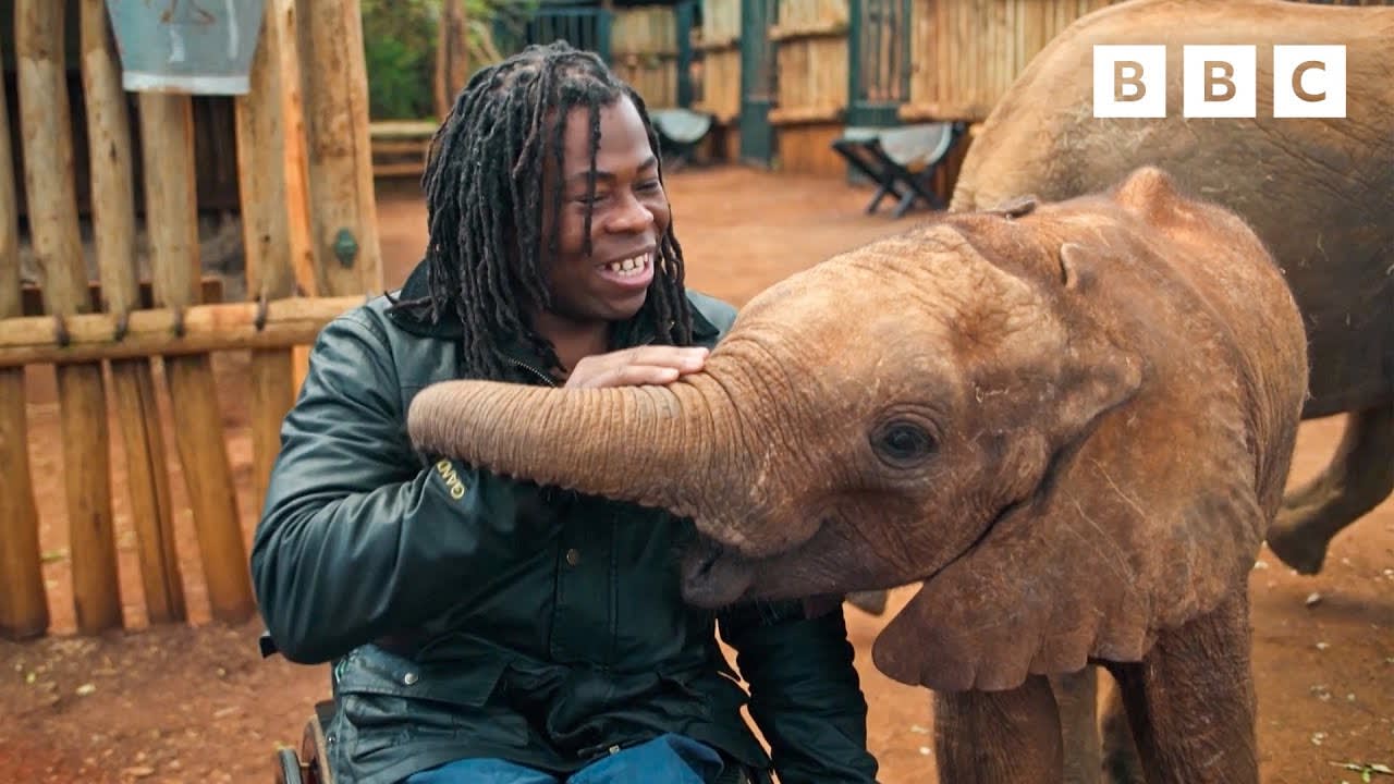 Ade Adepitan travels to Nairobi to meet baby elephant orphans | Our Changing Planet - BBC