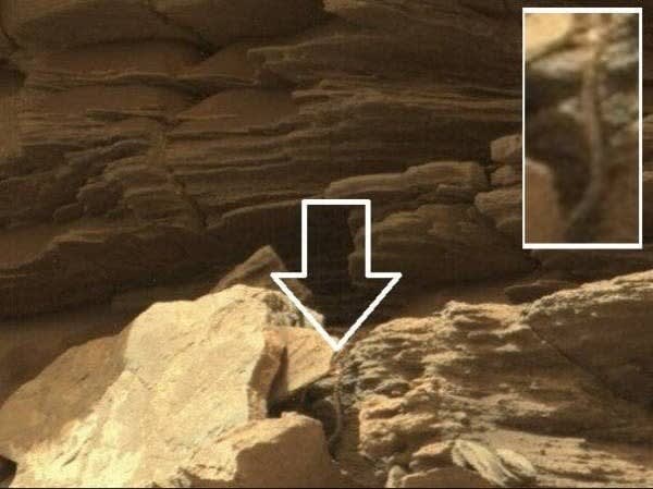 Russian Ufologist Found Ruins Of An Ancient City On Mars In Satellite Images
