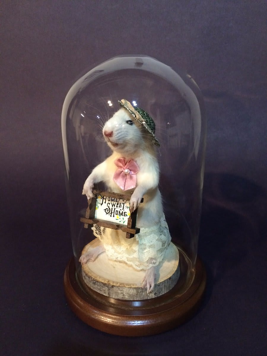 A few slots left in tomorrow's Anthropomorphic Mouse Taxidermy Class with