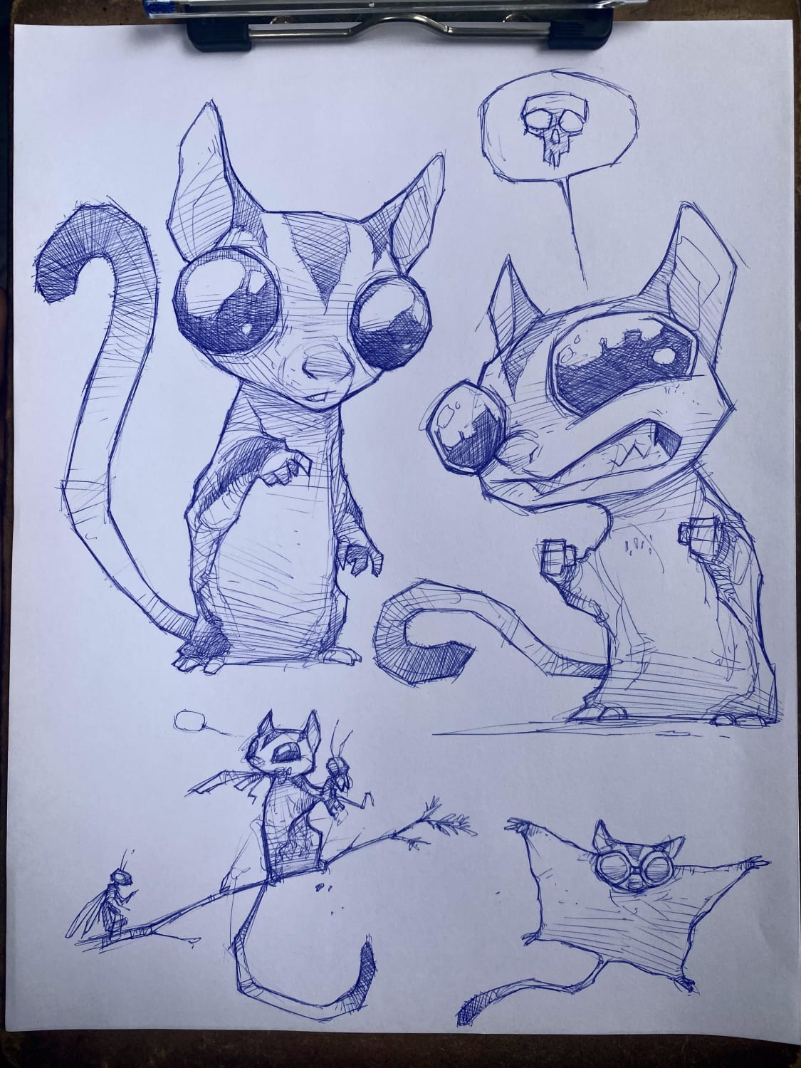Had to do some sugar glider sketches this morning