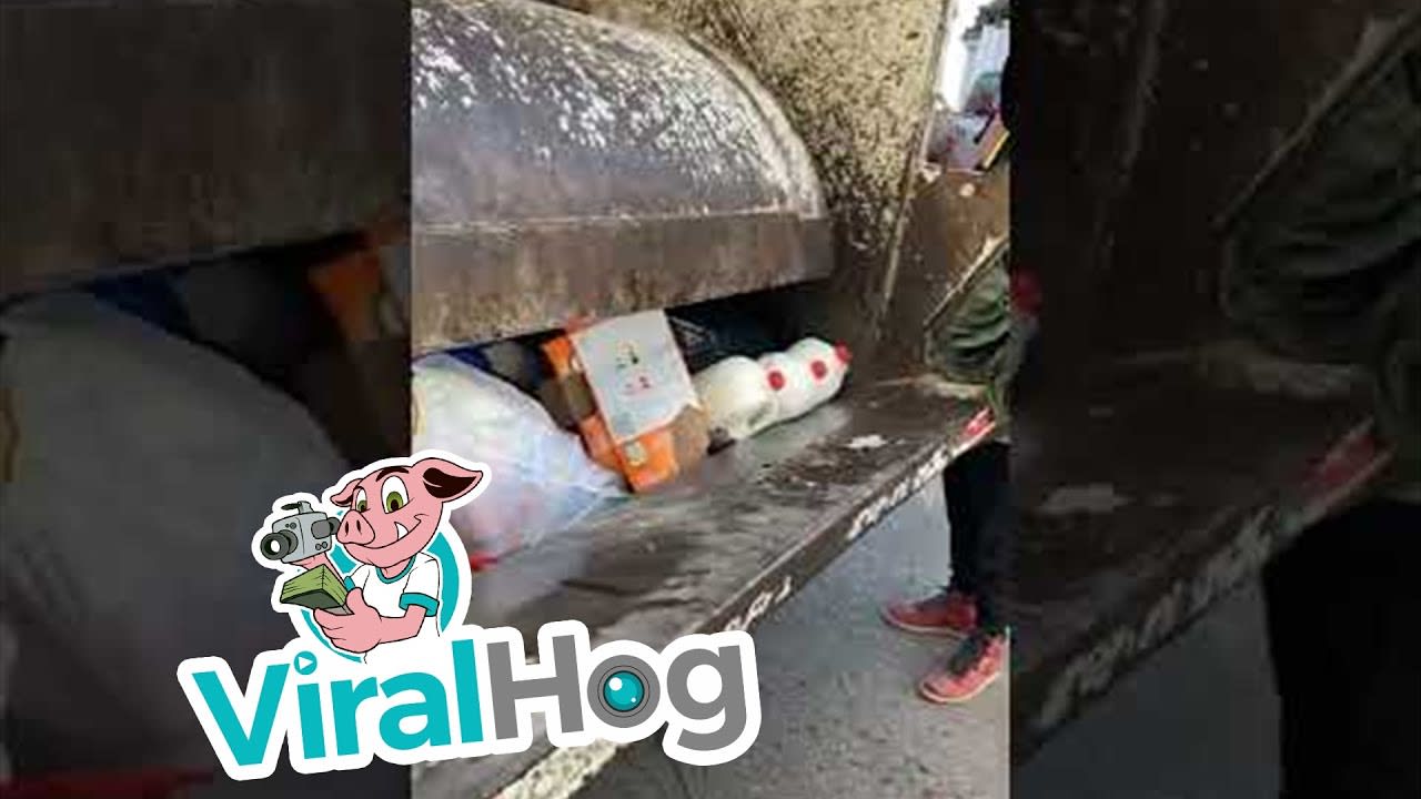 Garbage Men Crush Various Drinks Using Garbage Truck || ViralHog