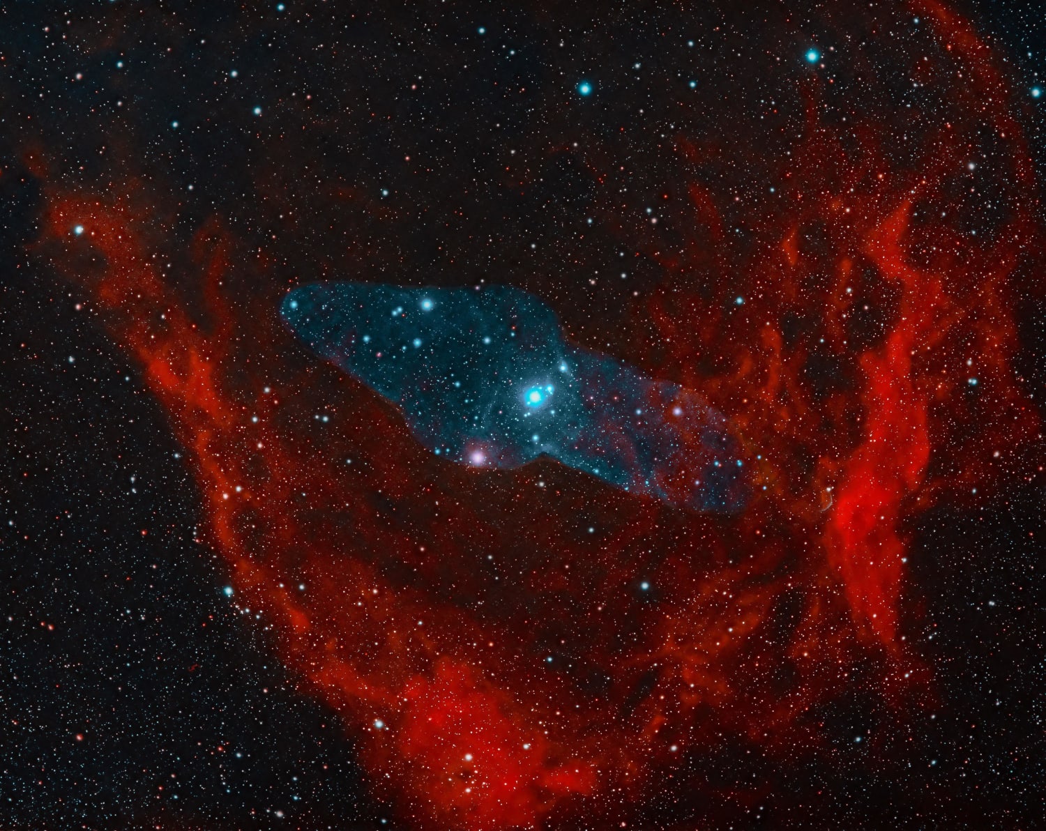 The Flying Bat & Squid Nebula - SH2-129 & Ou4