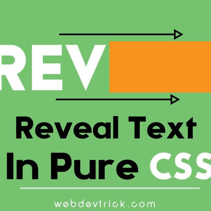 Animated Text Reveal In Pure CSS Example With Source Code