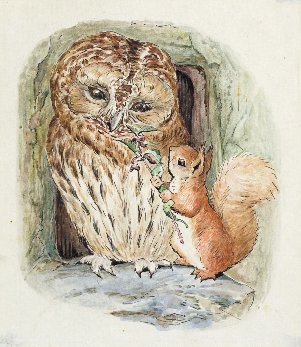 Beatrix Potter's 'The Tale of Squirrel Nutkin' tells the story of Nutkin and a bad tempered tawny owl named Old Brown 🍂 Visit our exhibition on Beatrix Potter - https://t.co/TDO7D5cWAp © National Trust / Colin Liddie