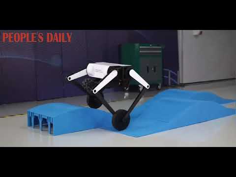 Beijing University students show off "Big Ollie" robot capable of flips and complex movements