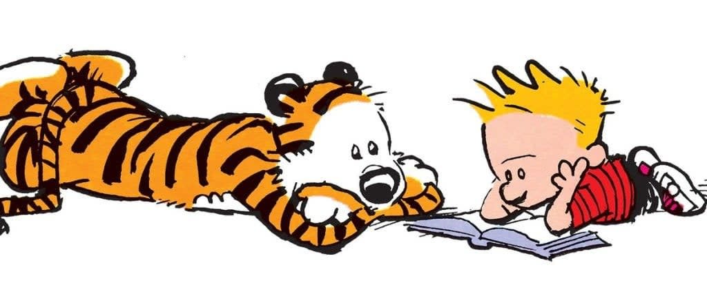 Calvin And Hobbes: The Best Comic Ever