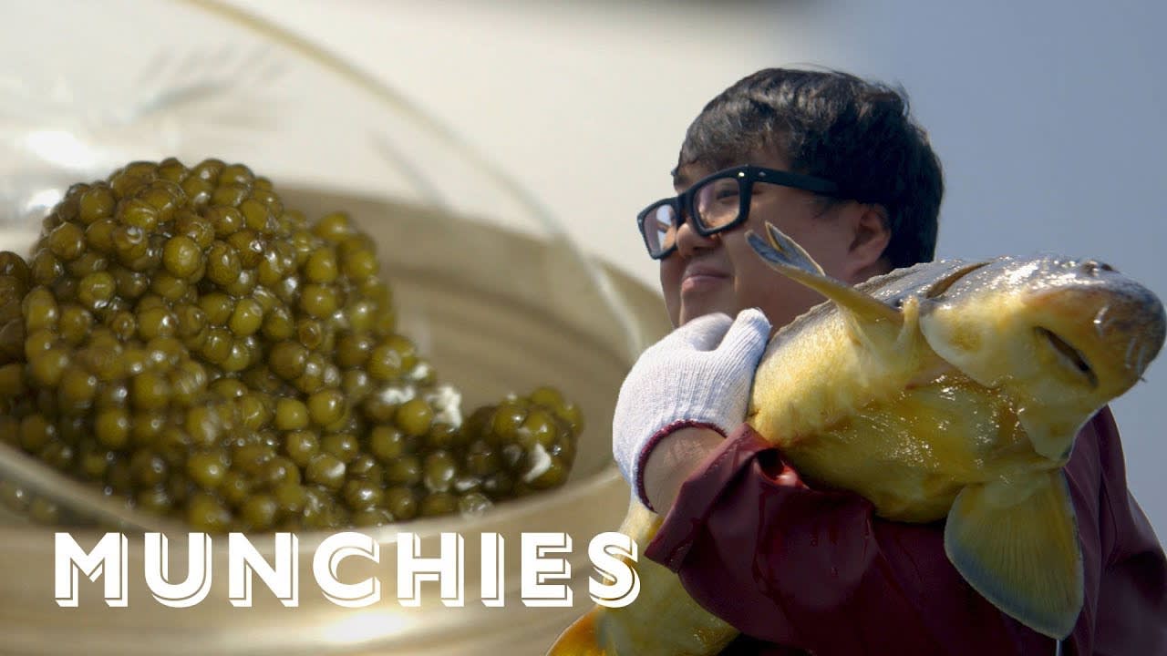 The World's Best Caviar, Now Made in China: MUNCHIES Presents
