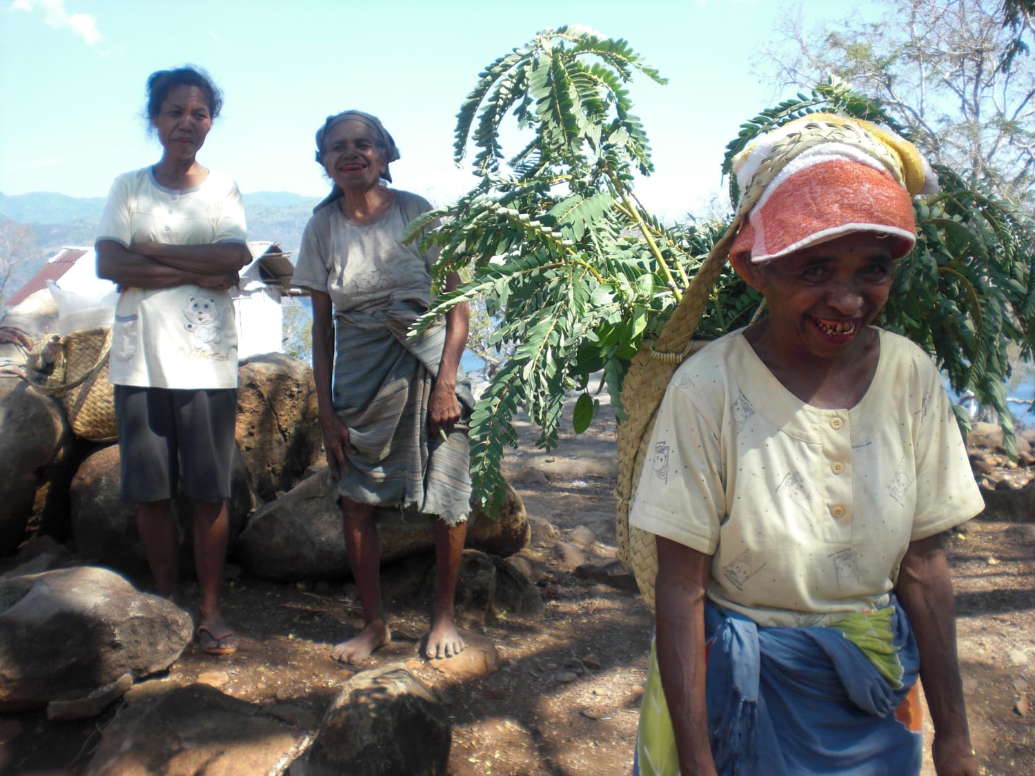 Three women of the Reta tribe, a small group of Papuan people in Nusa Tenggara Timur, Eastern Indonesia. They are gathering edible plants during the hunger season.