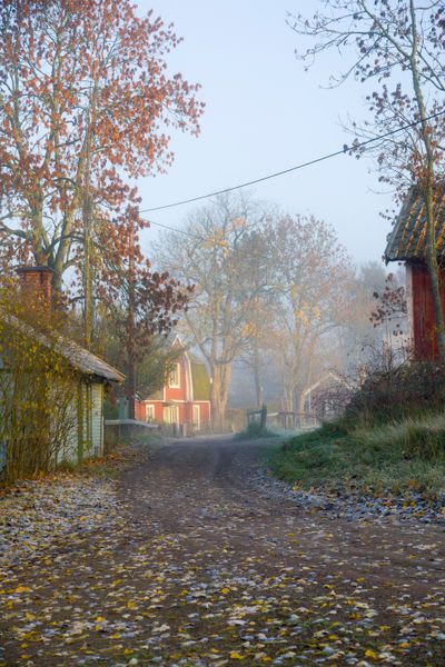 Small village in Sweden on a misty morning