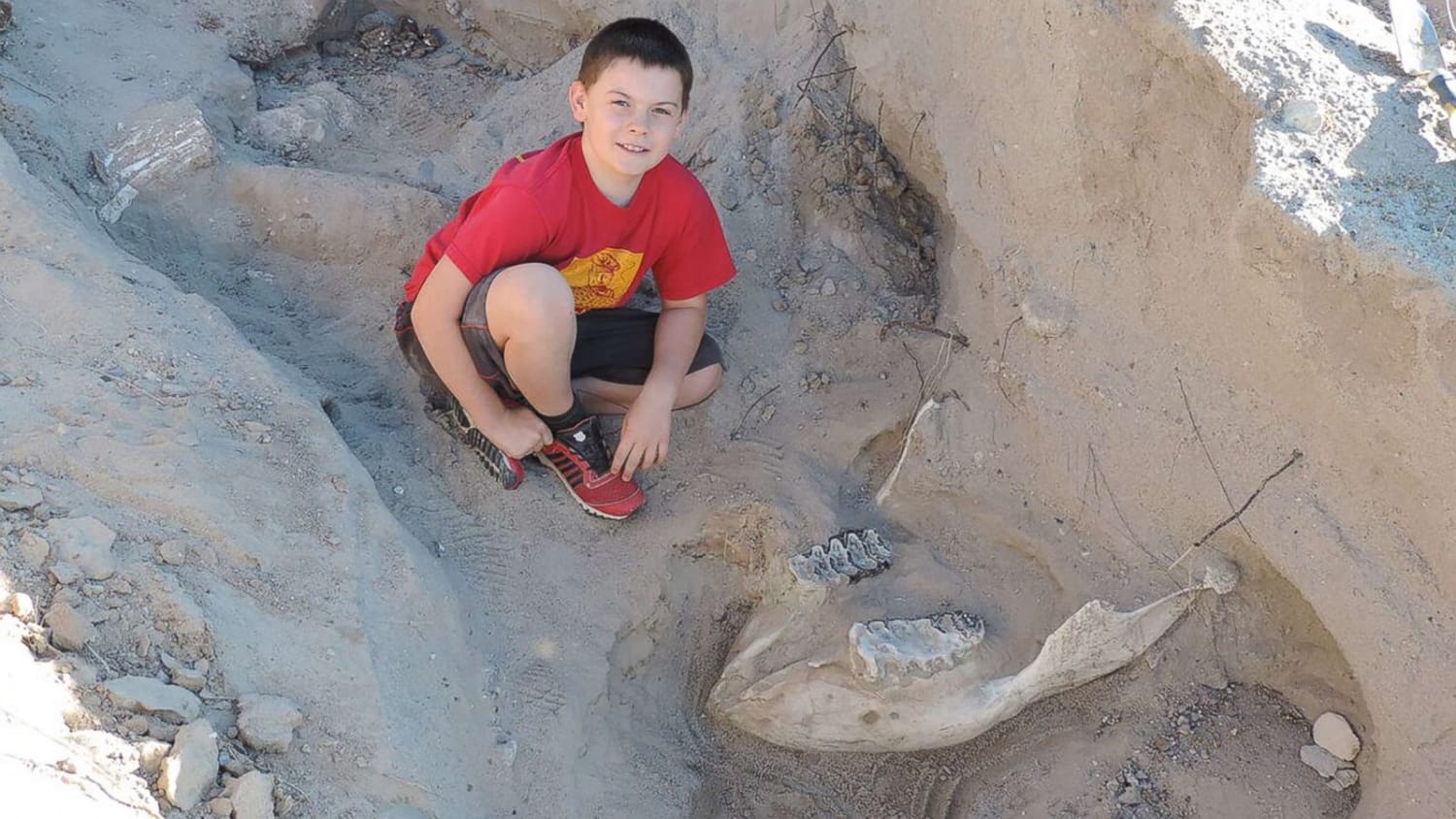 Ten year old trips over what he thought was a cow skull, but it turned out to be a Stegomastodon fossil, 1.2 million years old. The New Mexico site was later excavated revealing more parts of the skeleton.