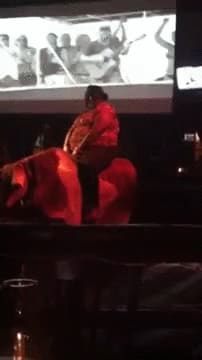 [x-post /r/KillTheCameraMan] HMC while i ride this bull real quick