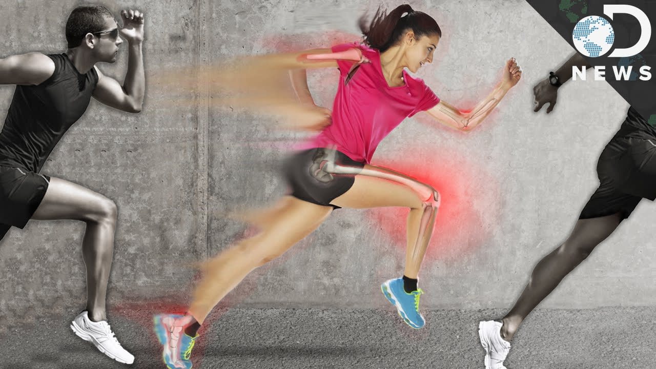 Why Your Body Is Built To Run Long Distances