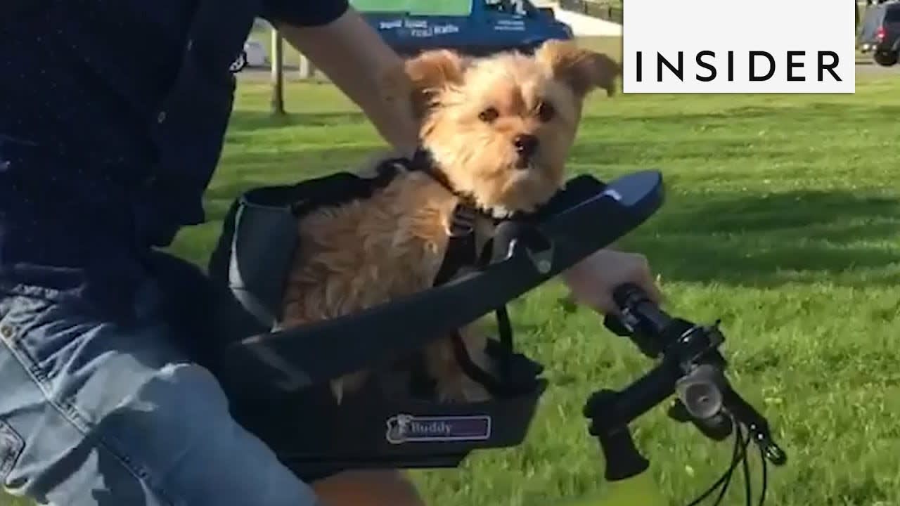 Bike Seat Lets You Take Your Dog For A Ride