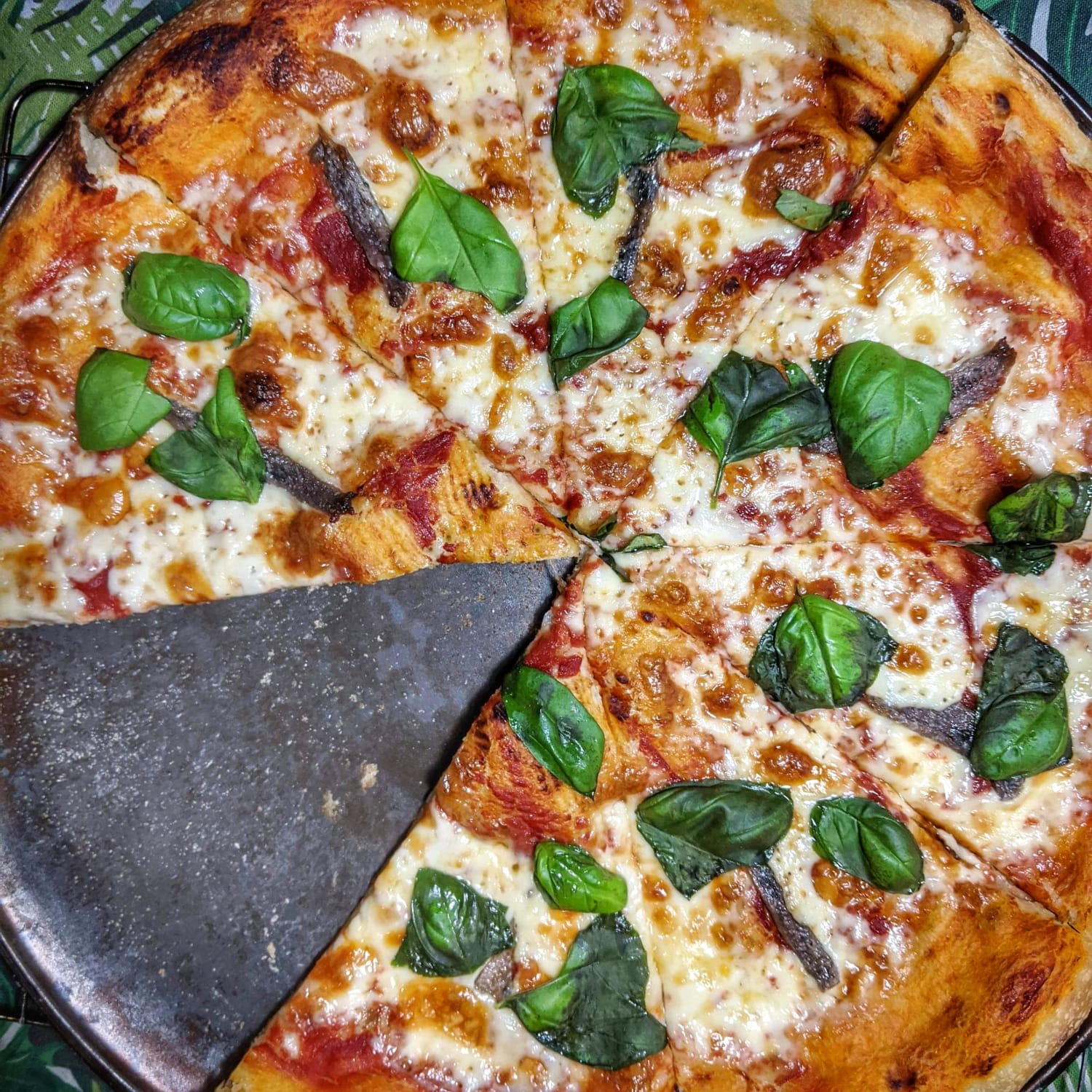 My pie from last night. Anchovies and fresh basil. It was very very good.