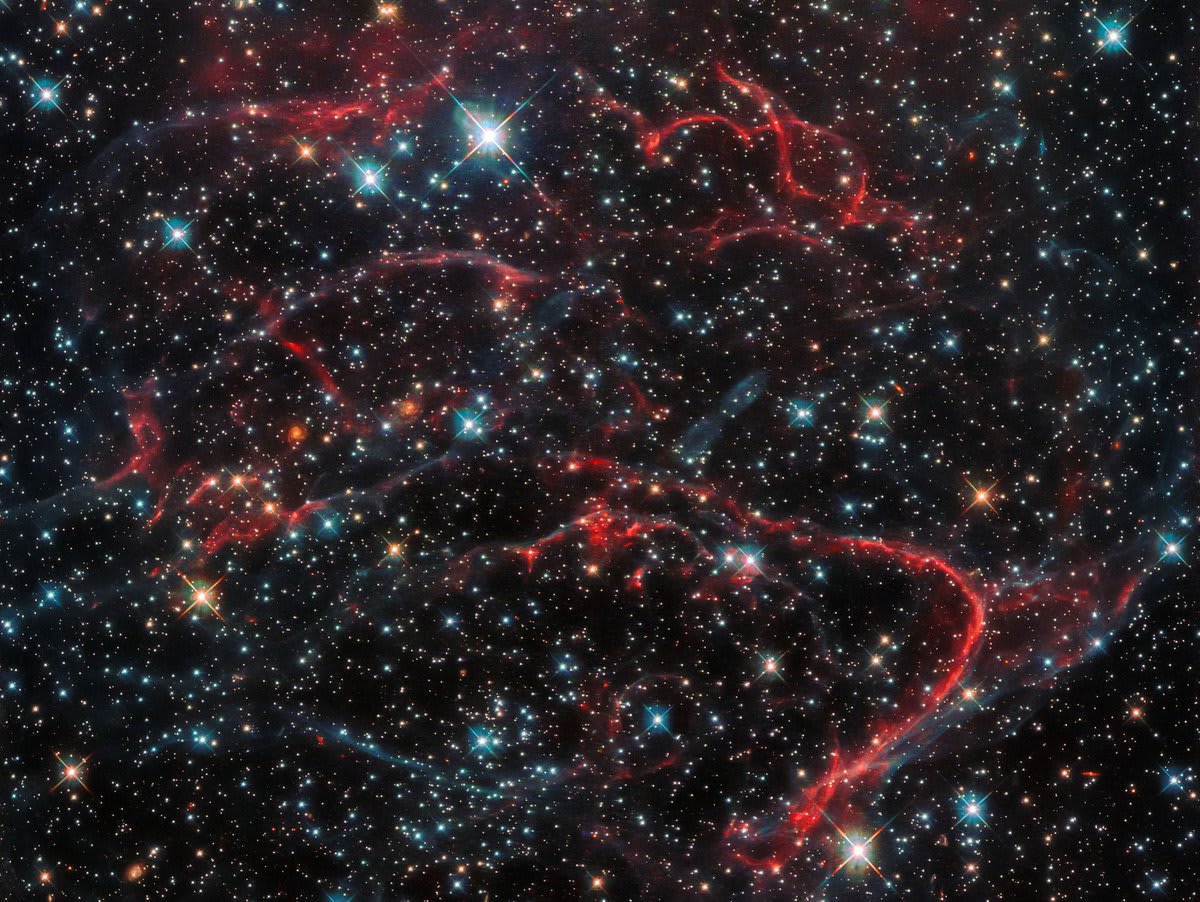 Day 24 of the 2020 Hubble Space Telescope Advent Calendar: A Dark and Tangled Web. This object, named SNR 0454-67.2, formed in a very violent fashion—it is a supernova remnant, created after a massive star ended its life in a cataclysmic explosion.
