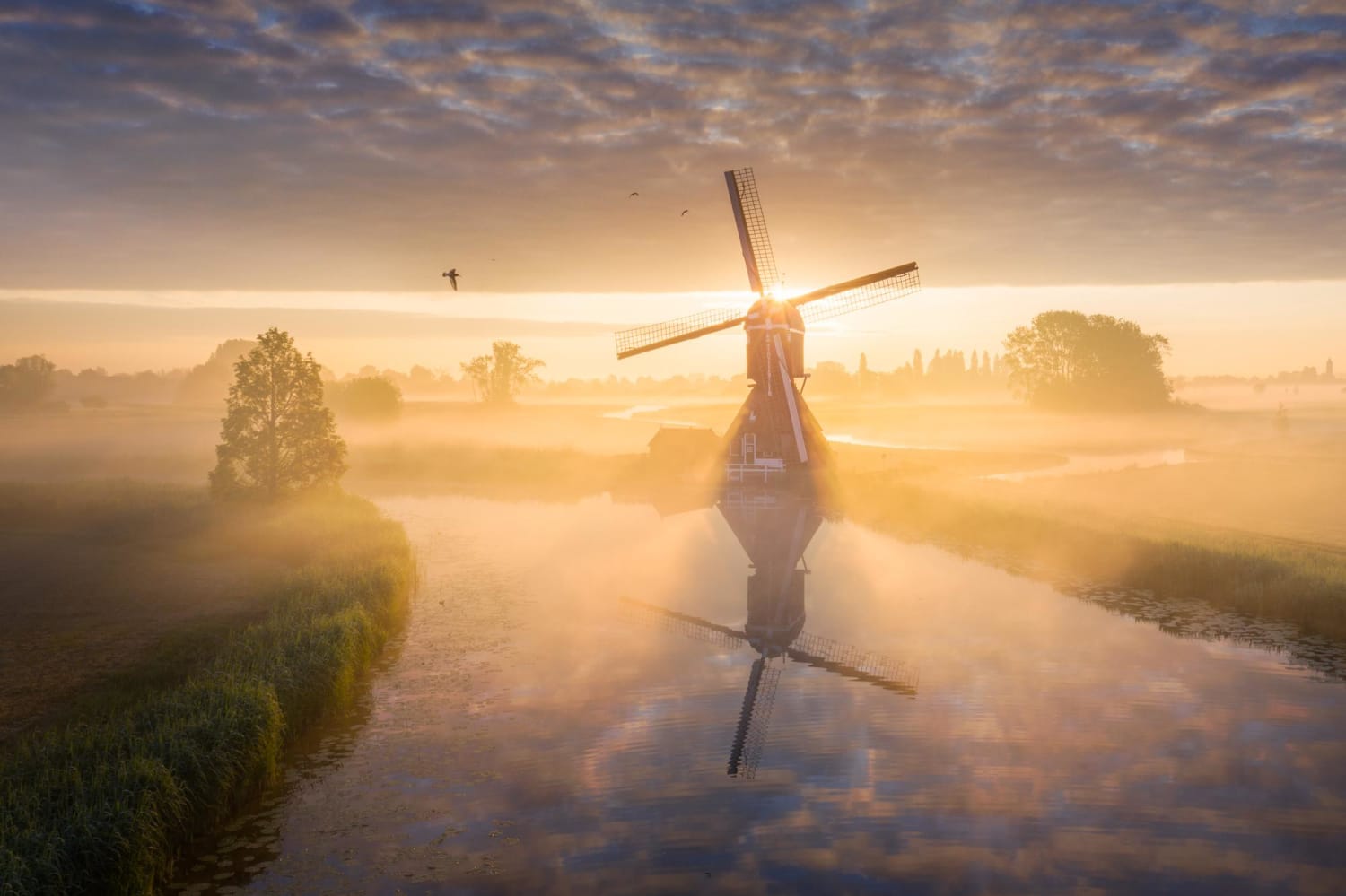 Sun behind a Dutch windmill on a foggy morning.