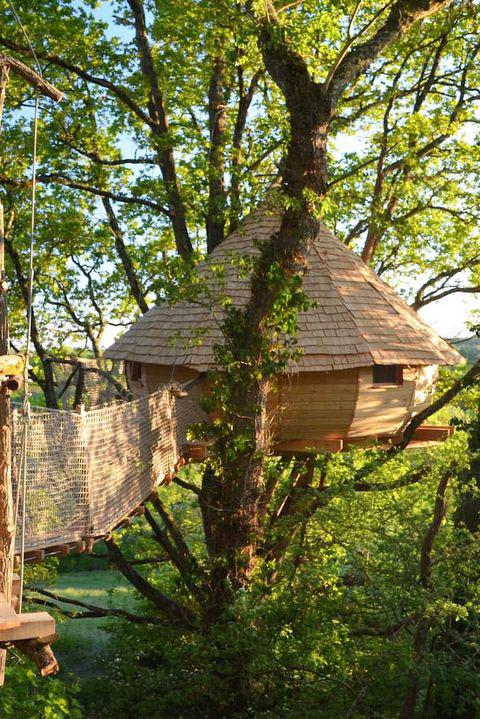 Disney Inspired Treehouse In France 😯🥵