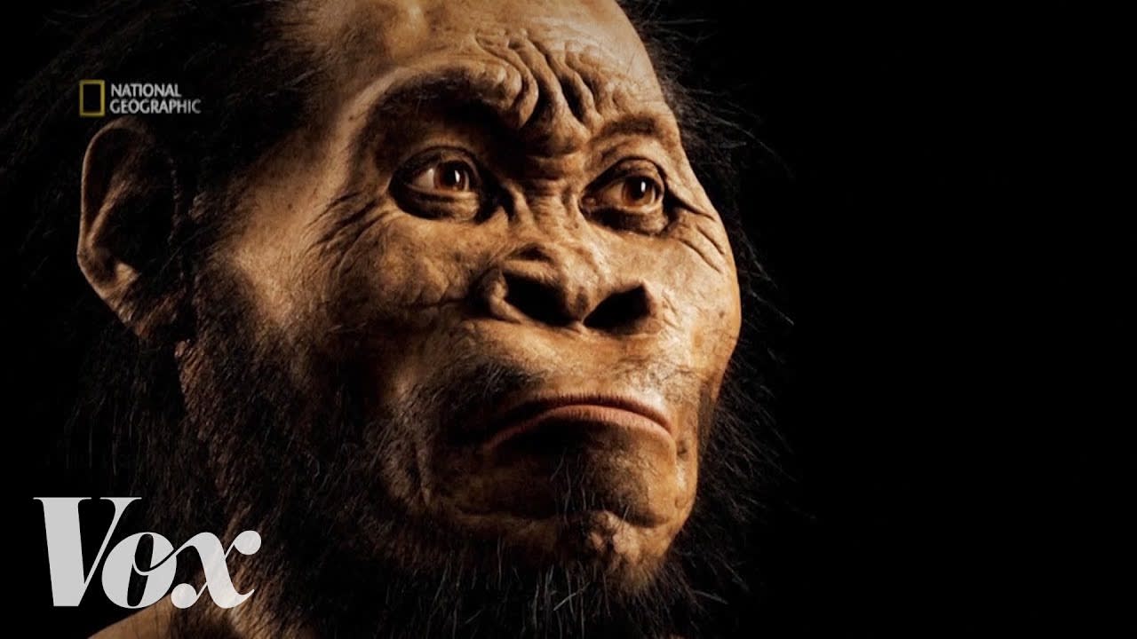 How scientists discovered Homo naledi, the new human ancestor