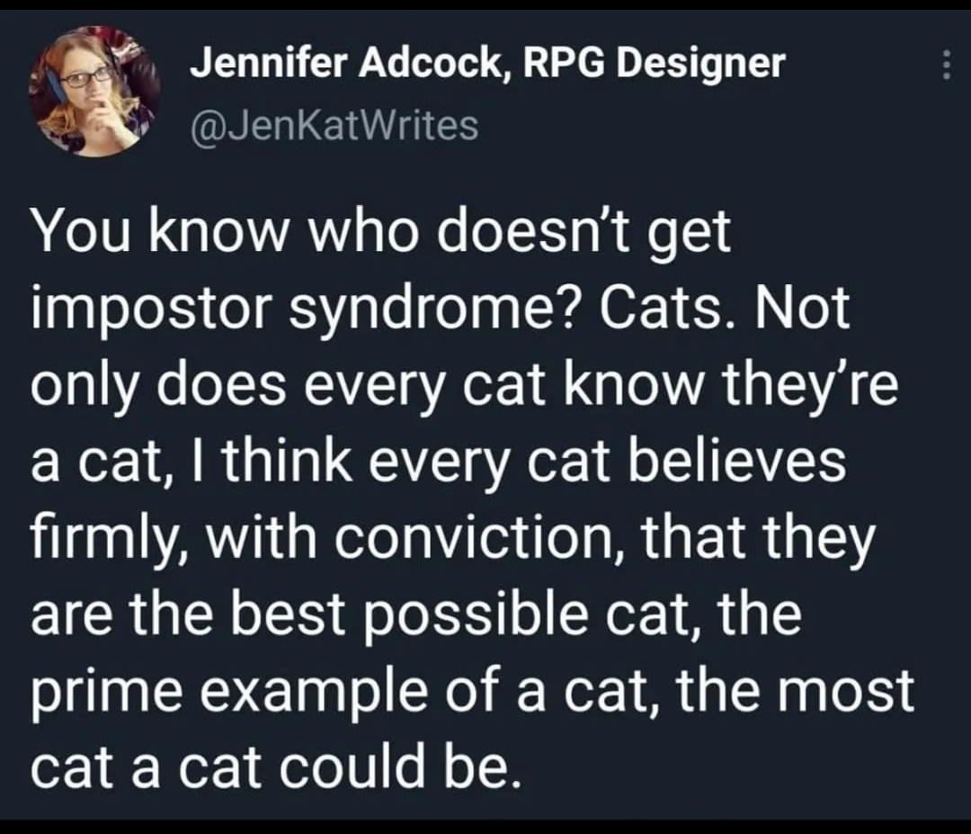 cats don't have impostor syndrome