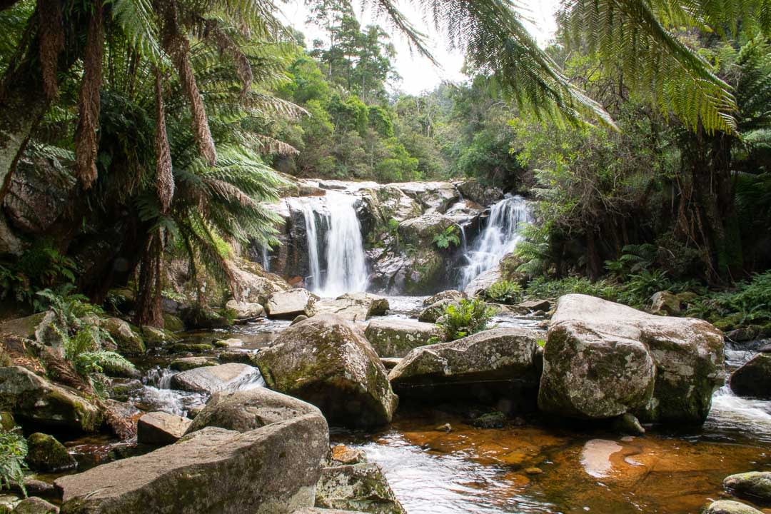 Best Waterfalls in North Tasmania to Seek Out