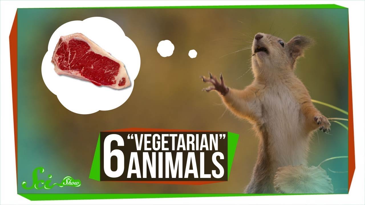6 "Vegetarian" Animals that Will Give You Nightmares