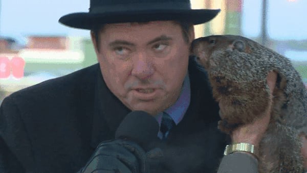 Angry Weather Groundhog Bites Mayor