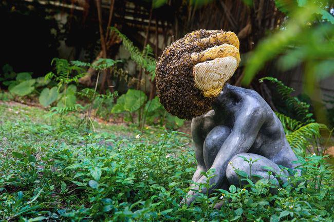 Beehive engulfing this statue