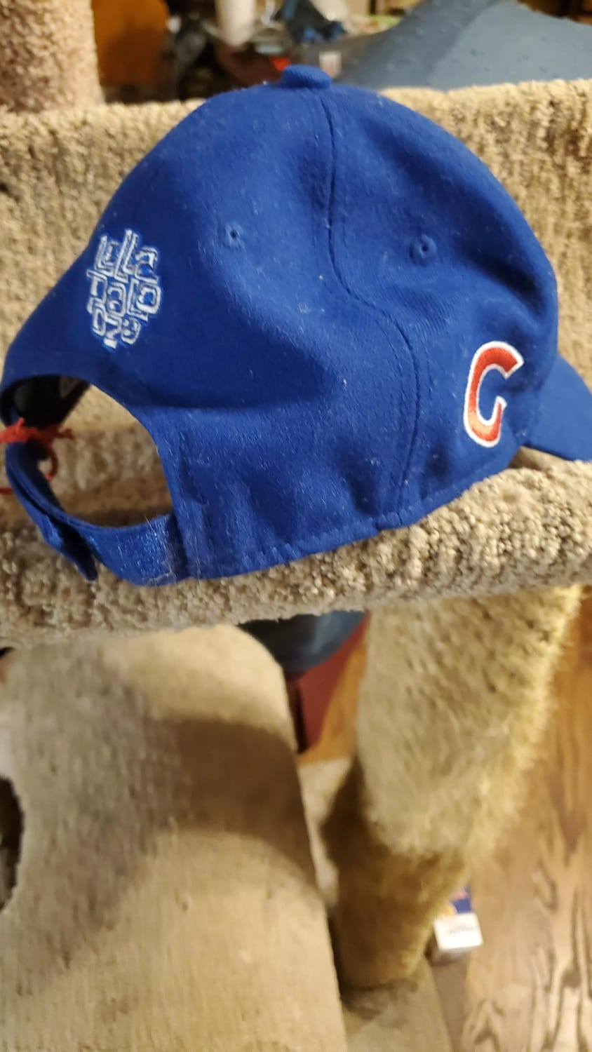 I snagged this Lollapalooza Cubs hat at an antique store in Charlotte NC