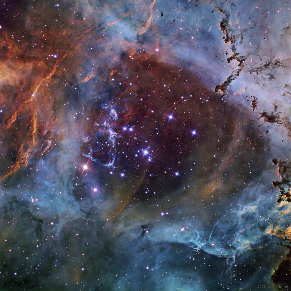 “NGC 2244: A Star Cluster in the Rosette Nebula” by Don Goldman