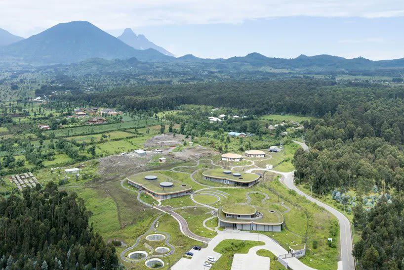 MASS design group's new campus respects lush volcanoes and endangered gorillas of rwanda.