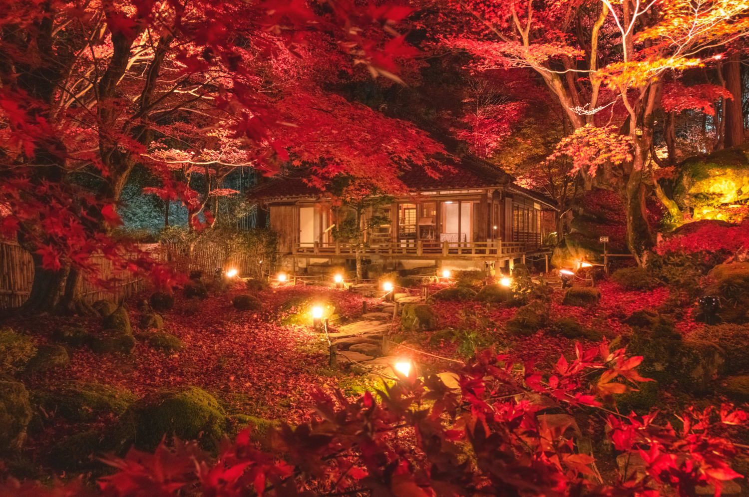Peak autumn at this temple in Japan