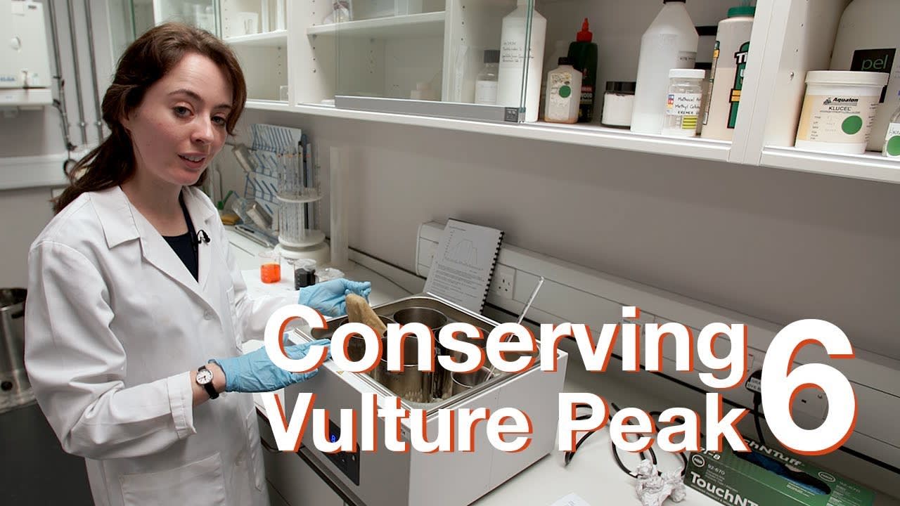 Conserving Vulture Peak | Episode 6: Backing fabric