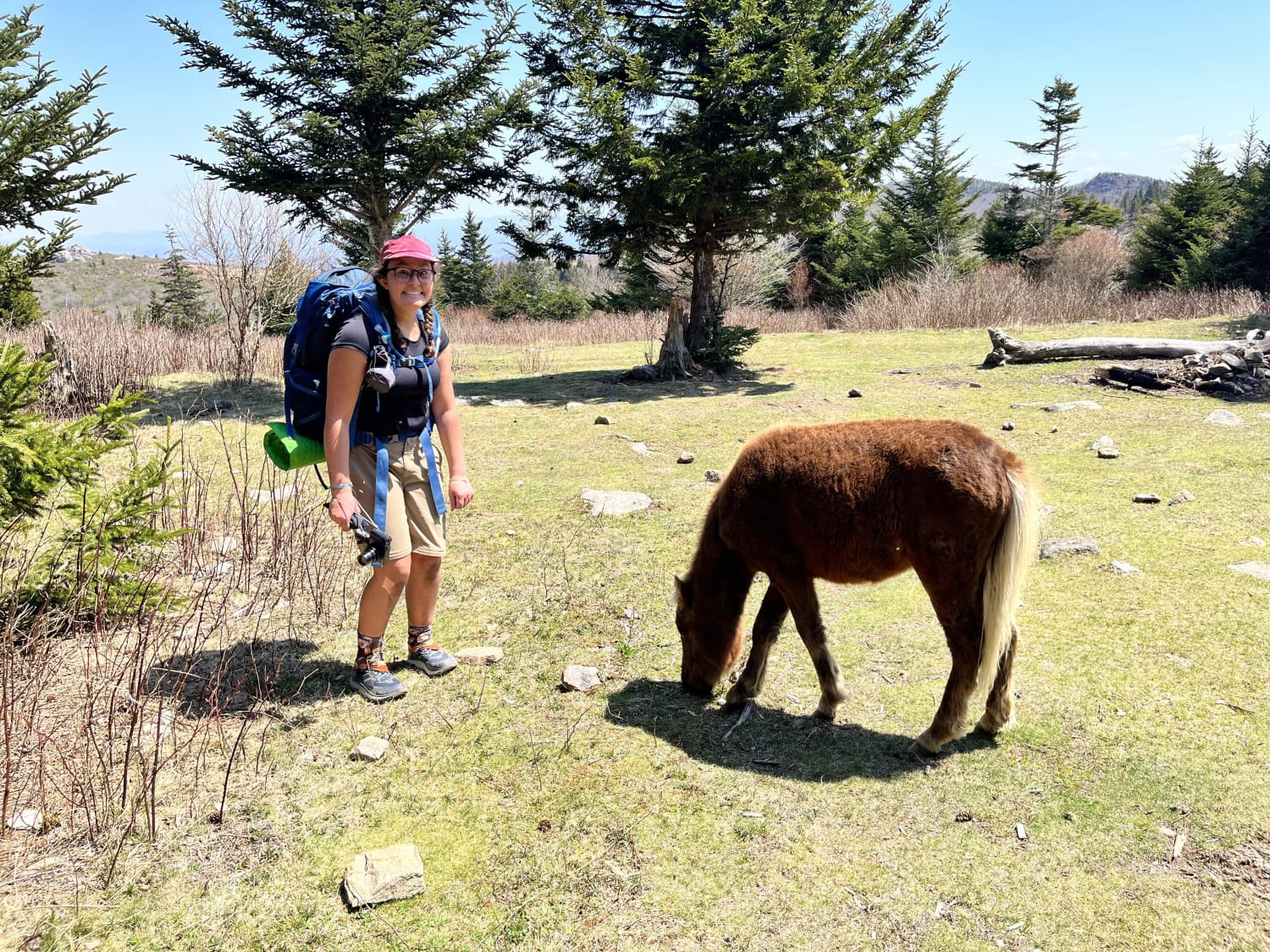 Backpacking with wild ponies