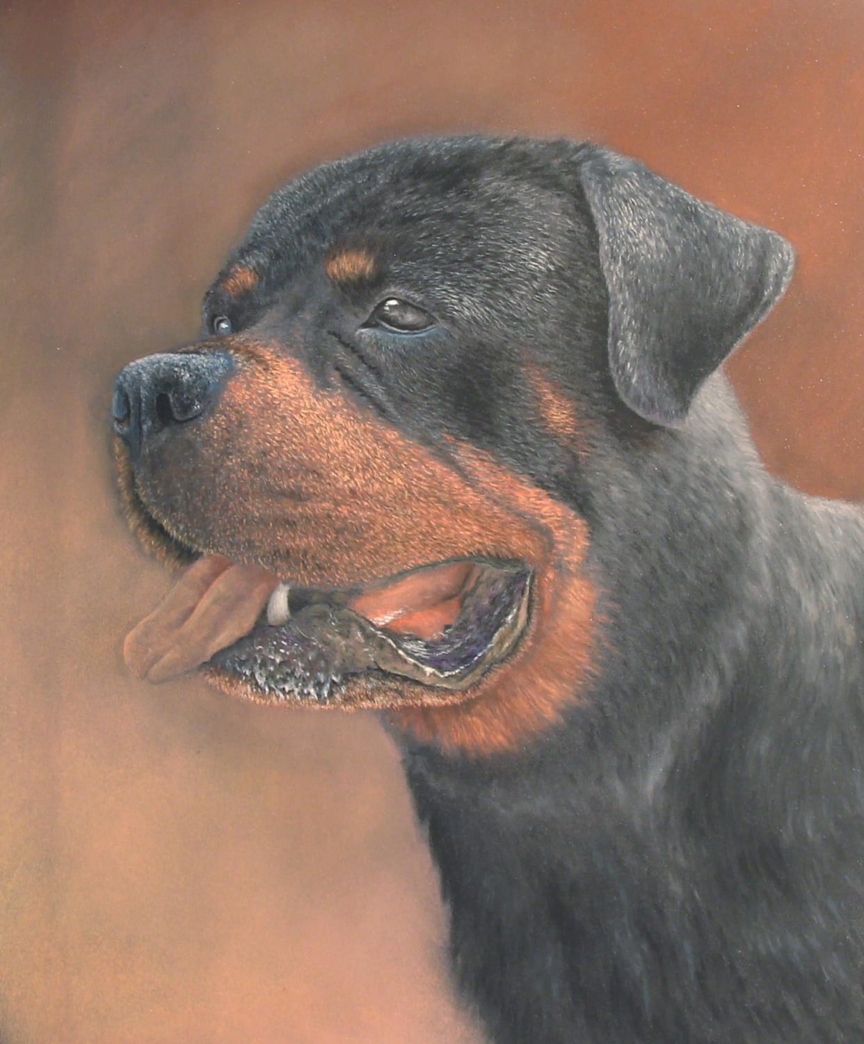 Rottweiler puppy. Commisioned piece I finished today. Hope you like it.
