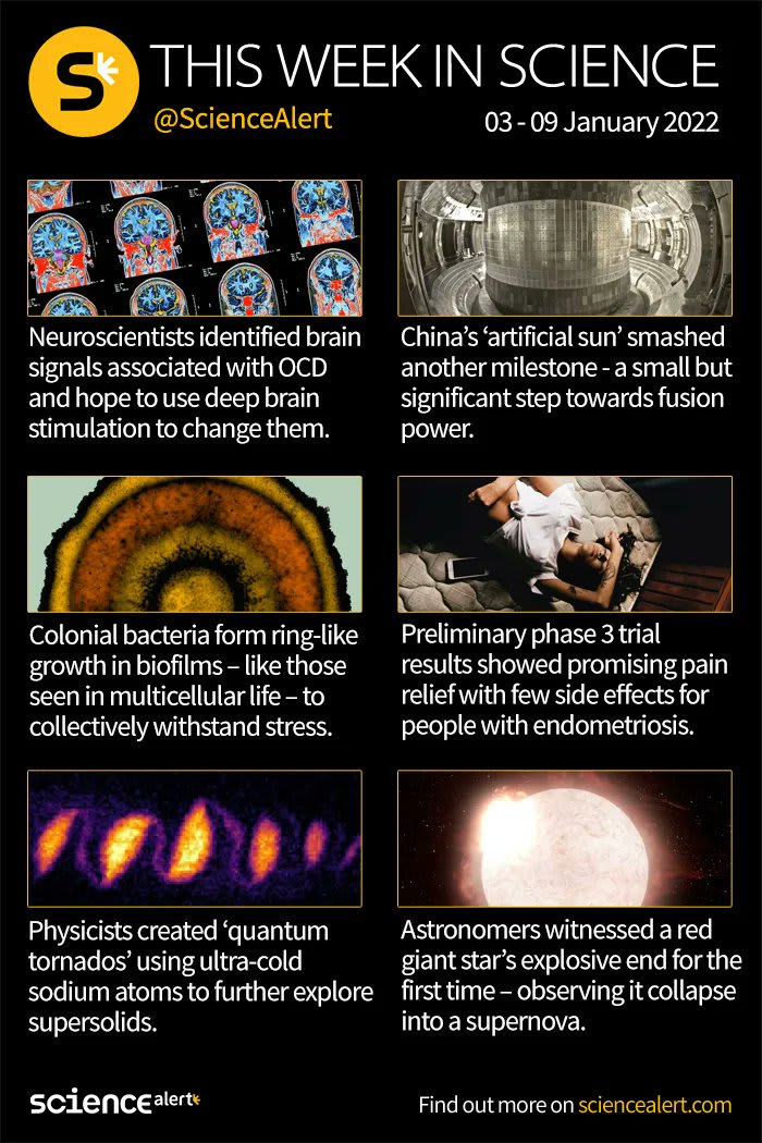 This week in science: OCD brainwaves https://t.co/440FXLZ3hy Artificial sun https://t.co/7WfowjsCwT Biofilm growth rings https://t.co/6GhO5BgKhe Potential endo treatment https://t.co/33UKQdSP5g Quantum tornados https://t.co/QT6PORIk6T First seen star death