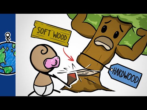 Why Hardwoods Are The Softest Woods