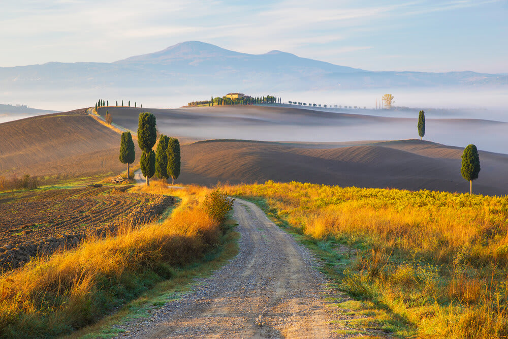 Dirt road in Tuscany, Italy (Photo credit to Krzysztof Baraniak)