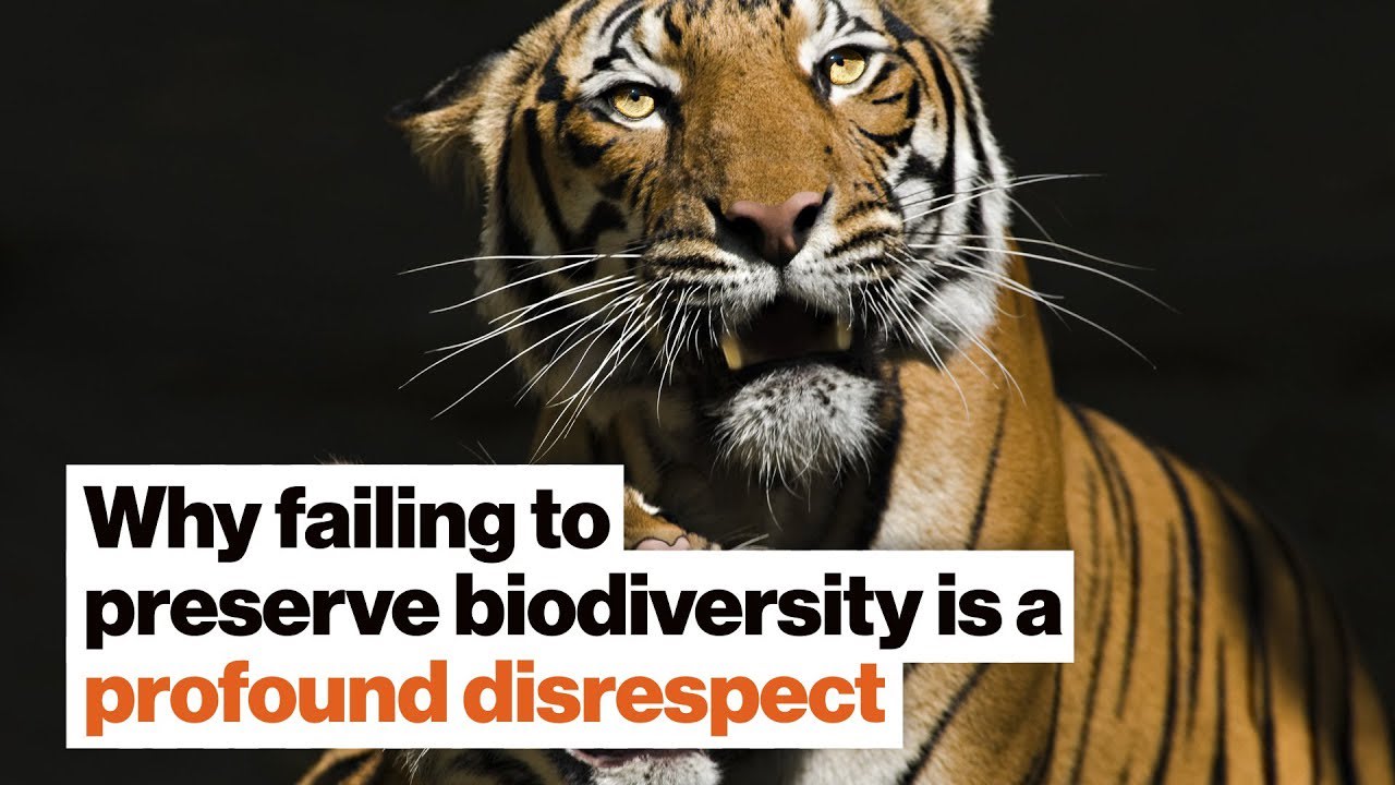 Why failing to preserve biodiversity is a profound disrespect | Susan Hockfield | Big Think