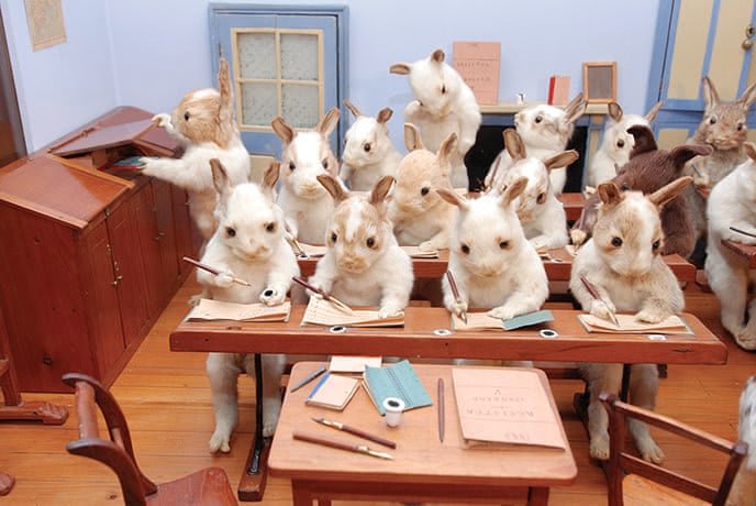 Do you love eccentric Victorian taxidermist Walter Potter? If so, hope to see you Oct 5-6 at an extraordinary celebration of all things taxidermy, featuring Potters's Rabbit Schoolhouse & the Monkey on Goat--never before exhibited in the US!