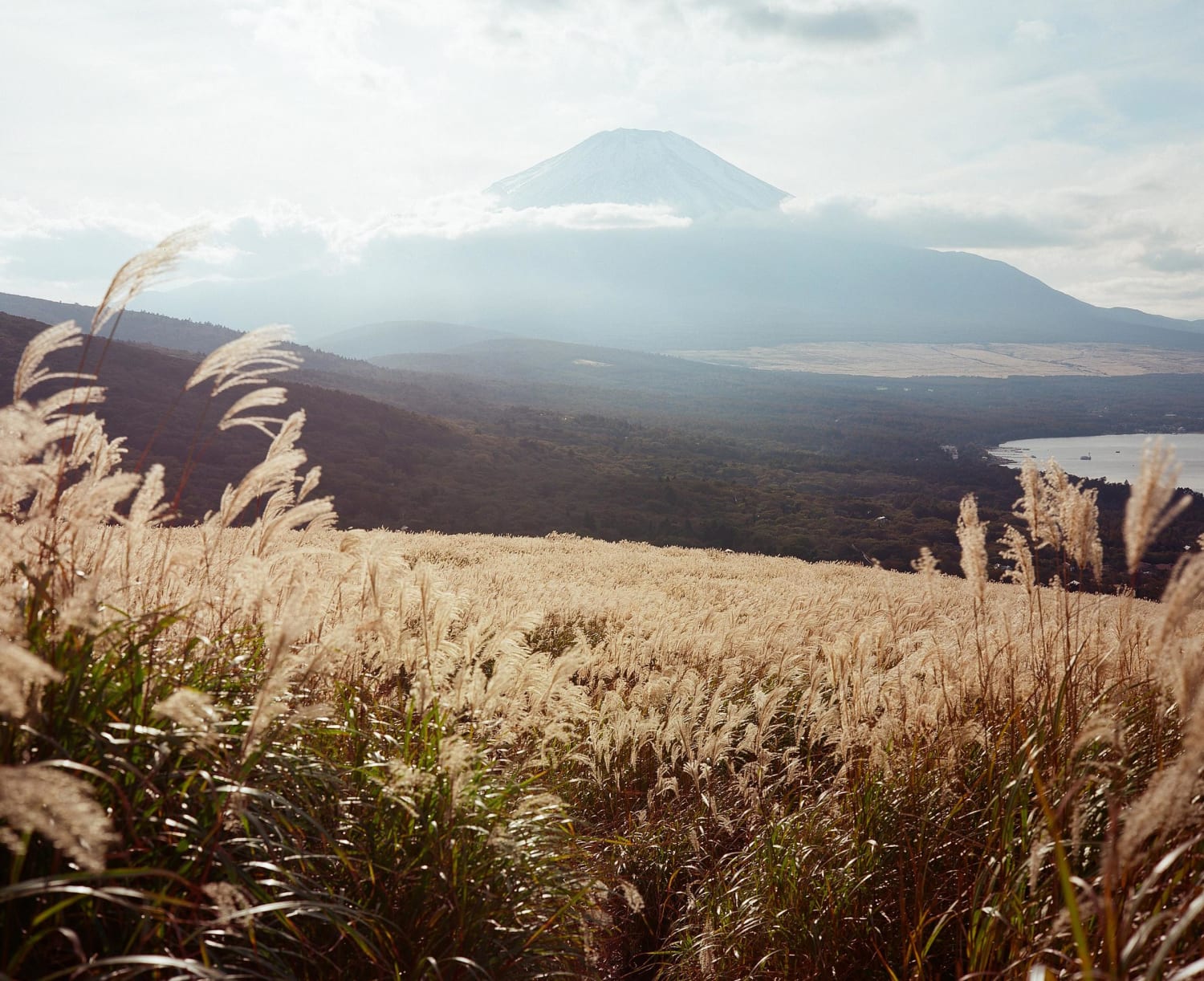 Fall and Mt. Fuji [Makina 67, 80mm f/2.8 fixed lens, Ektar 100]