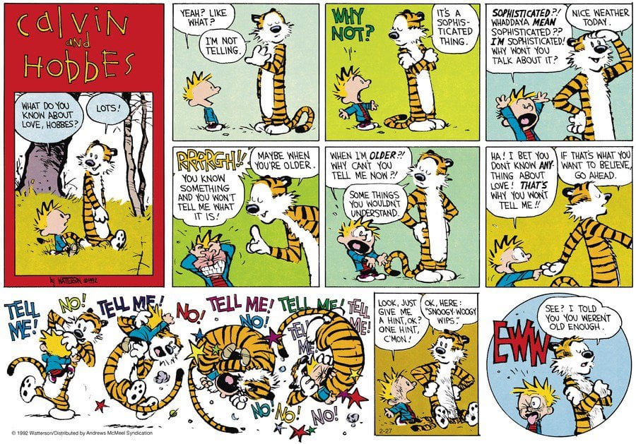 Calvin & Hobbes for February 27, 2022
