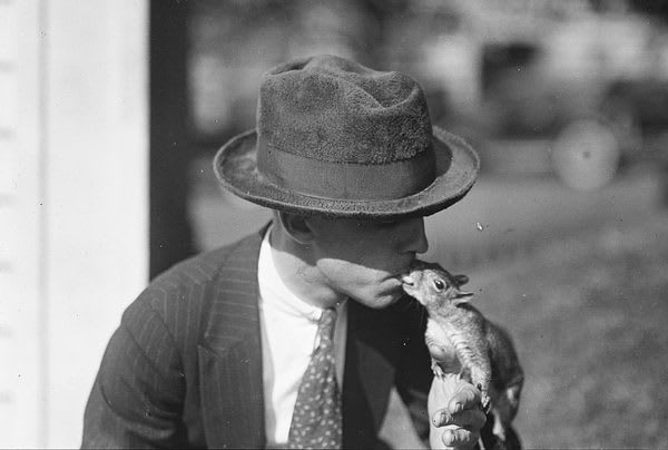 When Squirrels Were One of America's Most Popular Pets