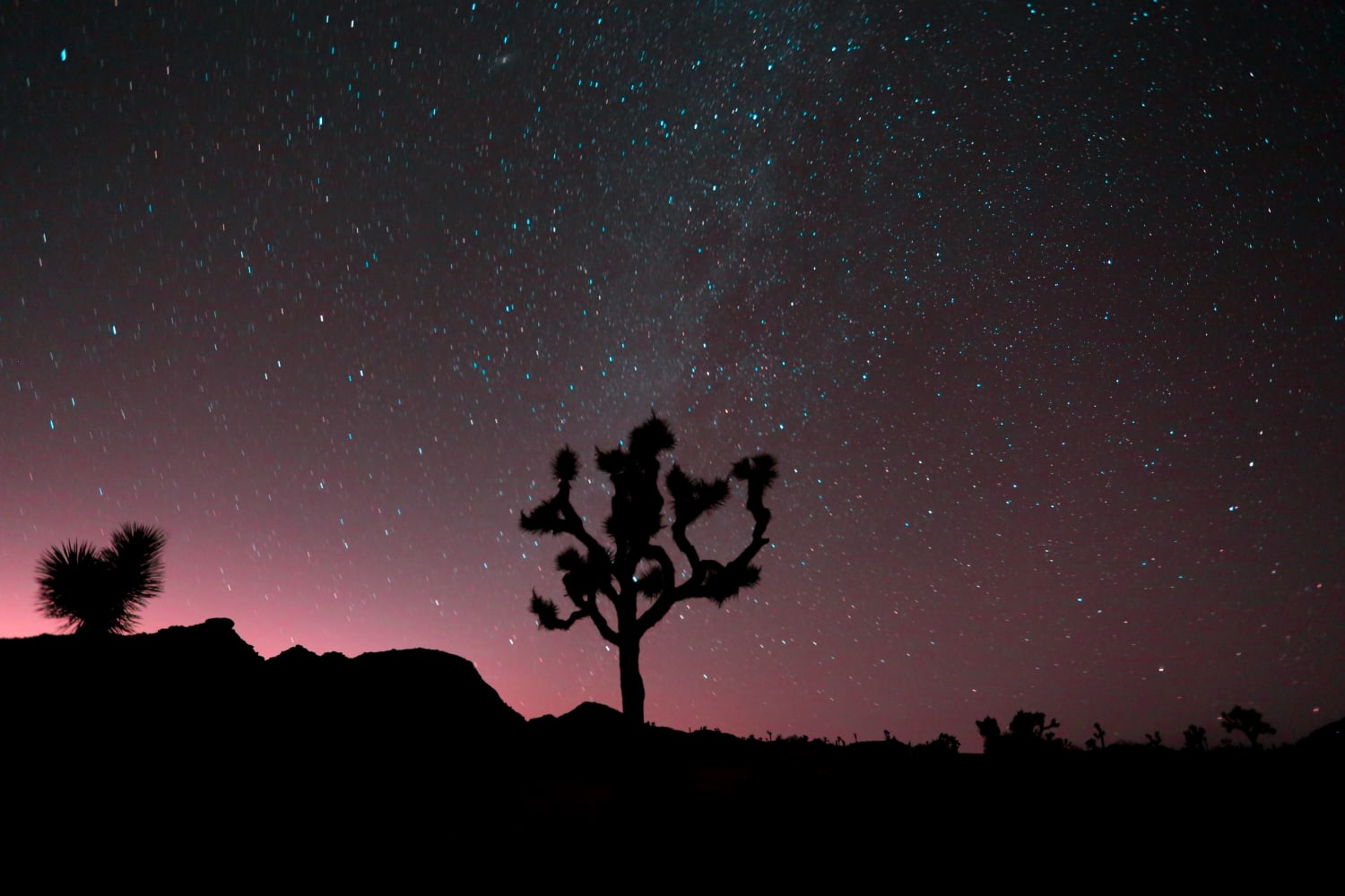 Joshua Tree California | 30 seconds at 12 PM with Los Angeles Light in the Background.
