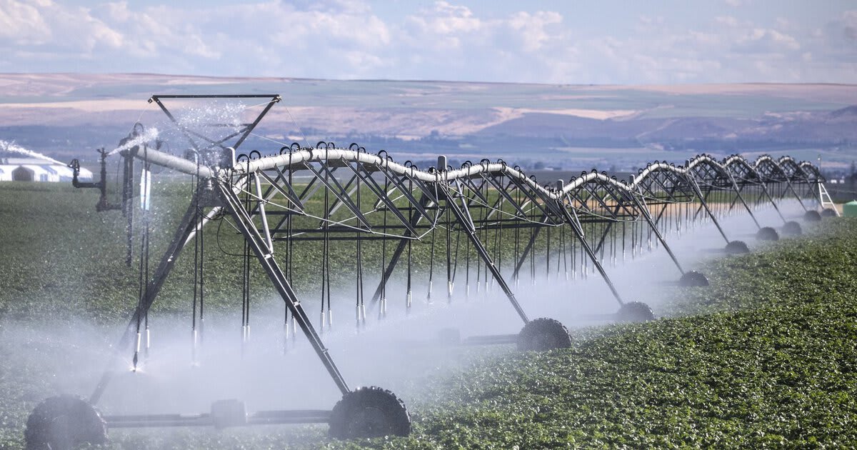 We applaud irrigators’ pitch for change and a new approach for the lower Snake River dams. “.. it’s time for a solution crafted with agriculture interests at the table — not by a judge in a courtroom."