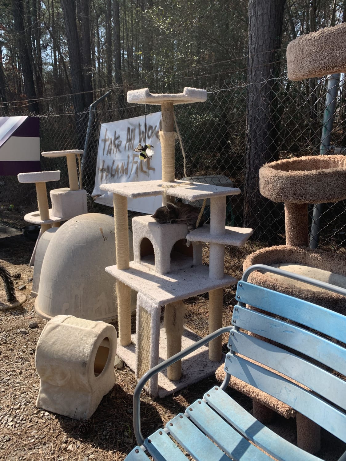 At my local dump, the crew saves the cat trees for the stray cats.