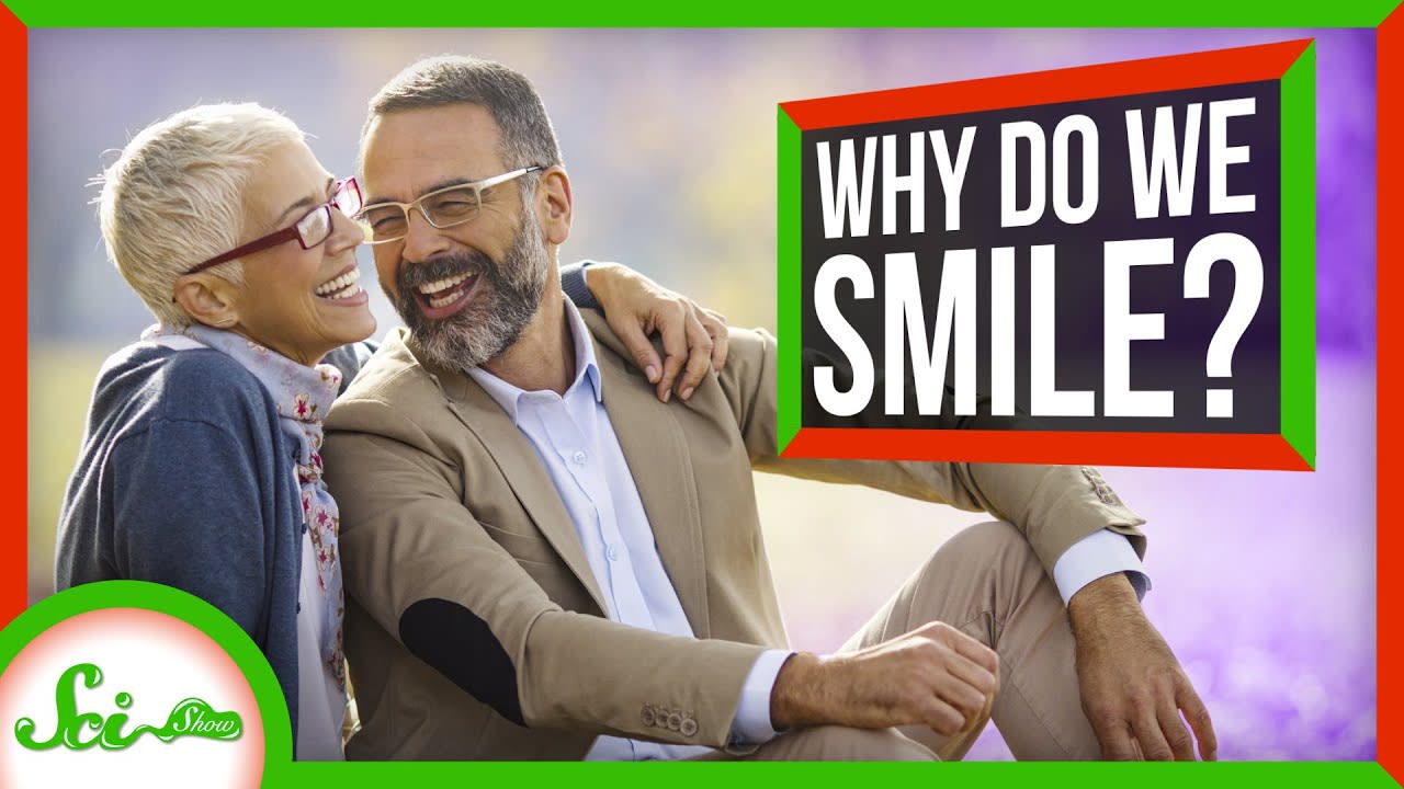 Why Do We Smile?