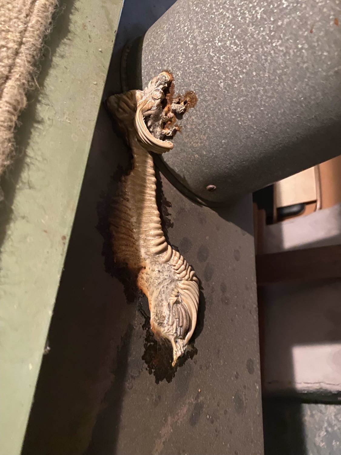 Found stuck to an old furnace.. don’t know wtf it is