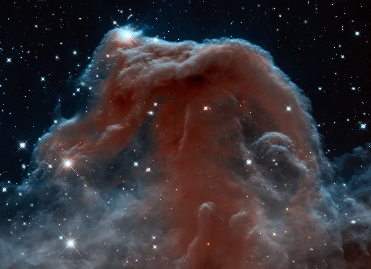 Day 12 of the 2017 Hubble Space Telescope Advent Calendar: Infrared Horsehead Nebula. An infrared view of turbulent waves of dust and gas in the constellation of Orion, some 1,300 light-years away.