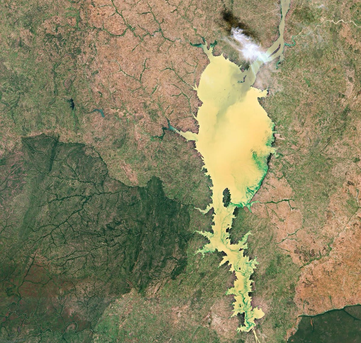 This @CopernicusEU Sentinel2 true-colour image shows KainjiLake, a reservoir on the Niger River in western Nigeria