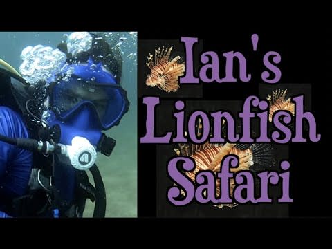 Field to Table: Shooting (Delicious) Lionfish to Protect our Reefs